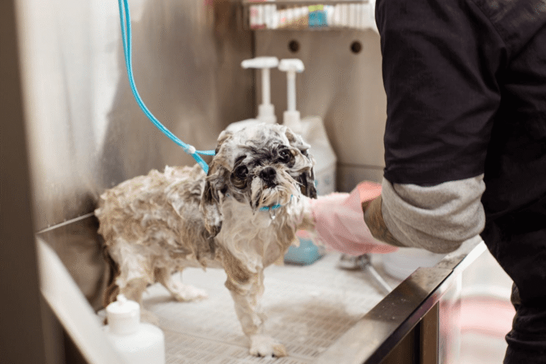 De - Shedding mud bath 