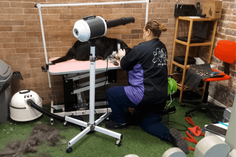 Double Coated grooms 