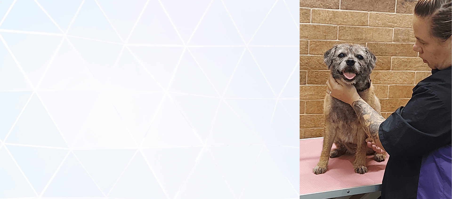 Rileys Smile Hournds slider 1