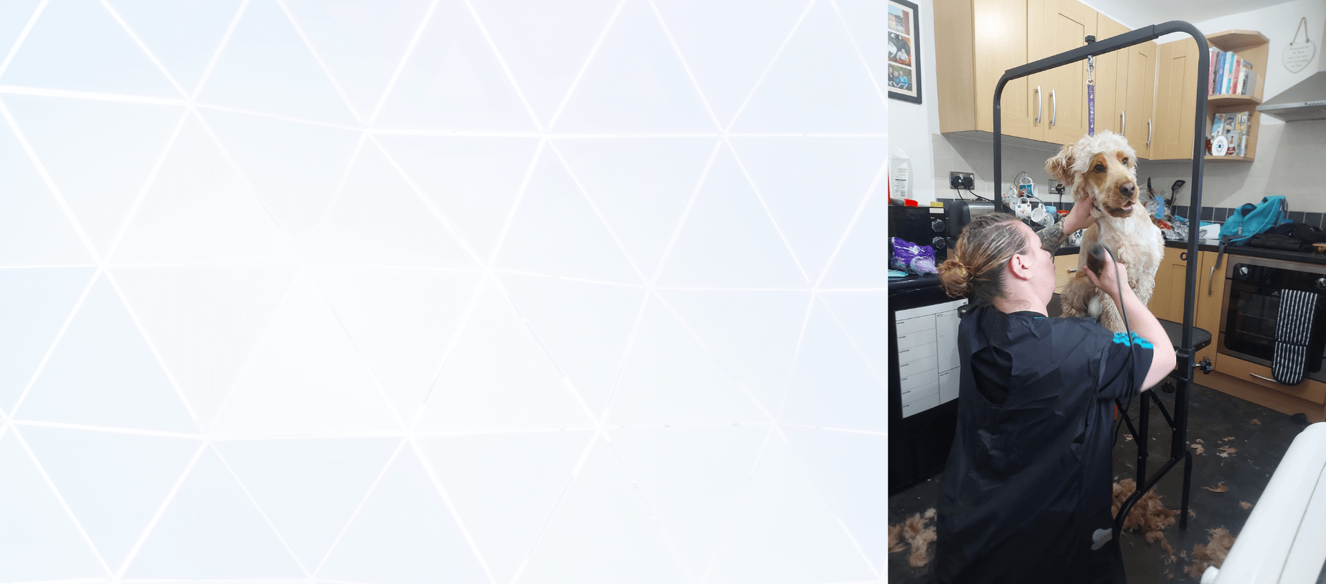 Rileys Smile Hournds slider 2