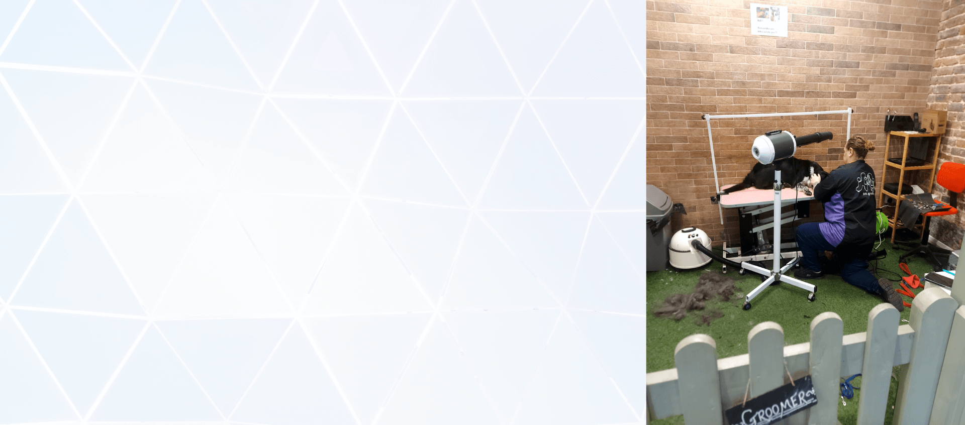 Rileys Smile Hournds slider 4